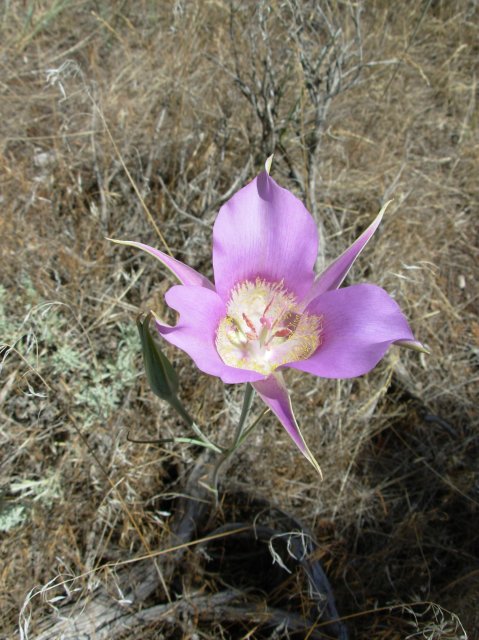 Summer '06 Sunriver 410 